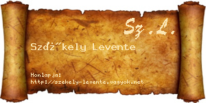 Székely Levente névjegykártya
